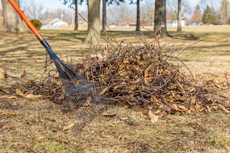 Leaves Mulched on the Lawn