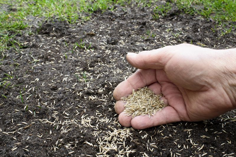Reseeding Service in Honolulu, HI