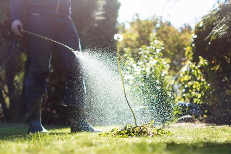 Slope Weed Control in Aiken, SC