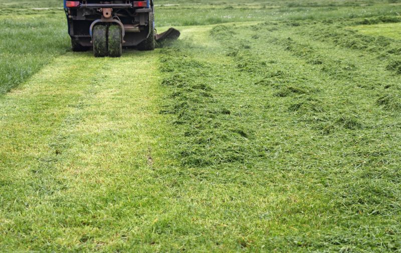 Tractor Mowing in Prince Georges County, MD